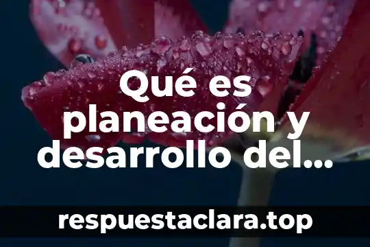 Qué es planeación y desarrollo del producto