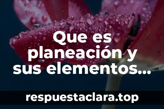 Que es planeación y sus elementos principios etapas