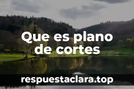 Que es plano de cortes
