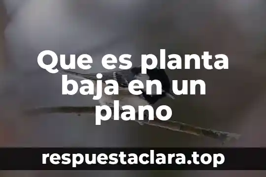 Que es planta baja en un plano