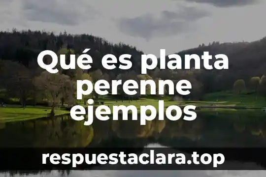 Qué es planta perenne ejemplos
