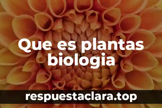 Que es plantas biologia