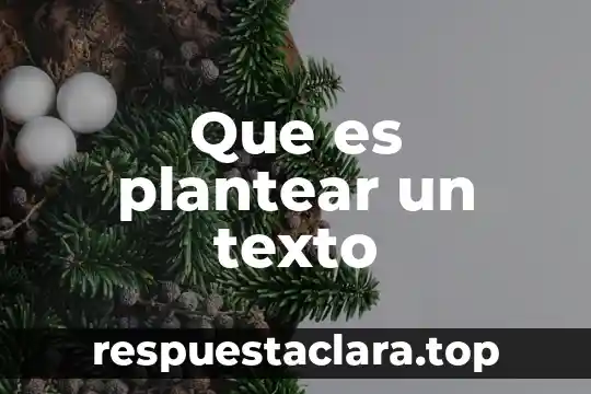 Que es plantear un texto