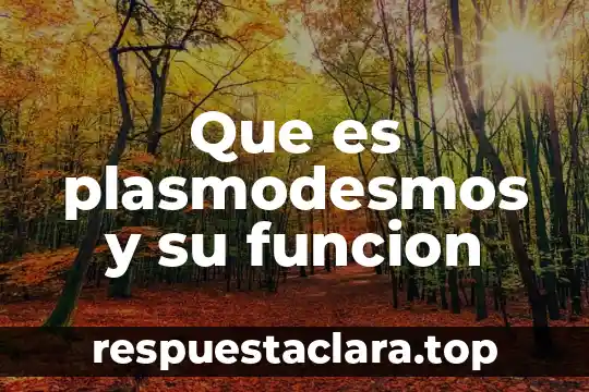 Que es plasmodesmos y su funcion