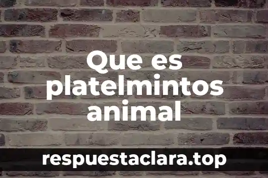 Que es un bobcat animal 6 Que es platelmintos animal