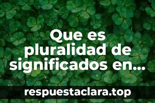 Que es pluralidad de significados en una misma palabra