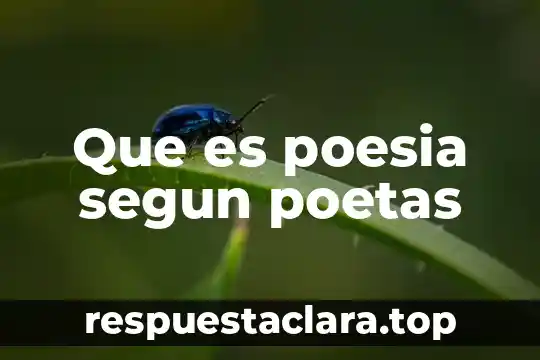 Que es poesia segun poetas