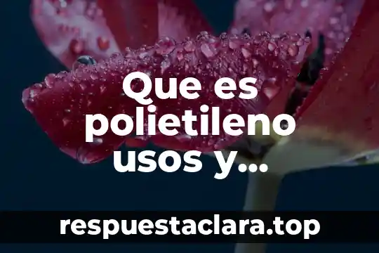Que es sincronizacion automatica de datos de aplicaciones 4 Que es polietileno usos y aplicaciones