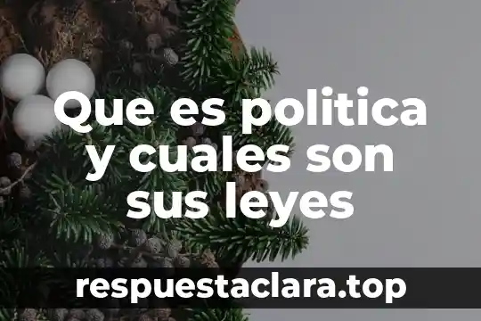 Qué es el tochito bandera y cuáles son sus reglas 6 Que es politica y cuales son sus leyes