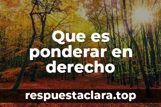 Que es ponderar en derecho