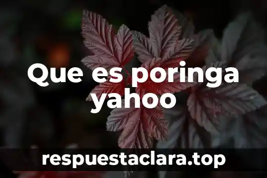 Que es poringa yahoo