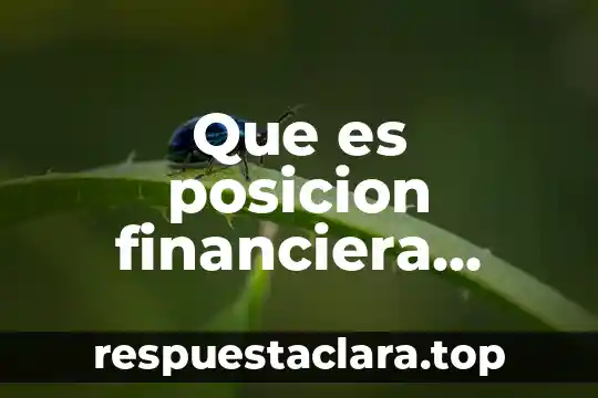 Proyecto de nación que es ser un buen ciudadano 4 Que es posicion financiera dentro de un proyecto de inversion