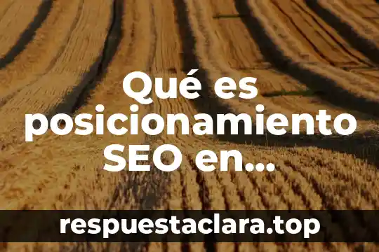 Qué es posicionamiento SEO en marketing
