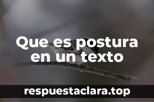 Que es una estructura texto 6 Que es postura en un texto