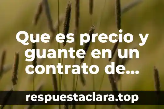 Que es precio y guante en un contrato de arrendamiento