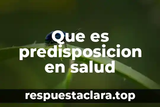 Que es sintaxis en arquitectura 6 Que es predisposicion en salud