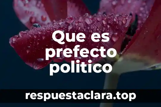Que es prefecto politico