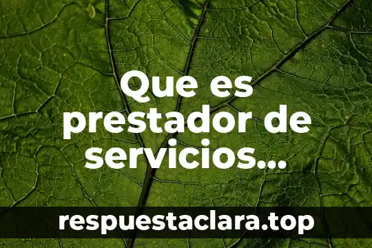 Que es nombre del prestador de servicio 4 Que es prestador de servicios medicos