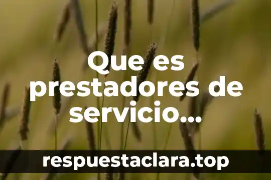 Que es la propuesta en un proyecto 5 Que es prestadores de servicio turistico