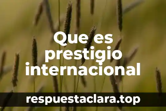 Organismo internacional que es 6 Que es prestigio internacional