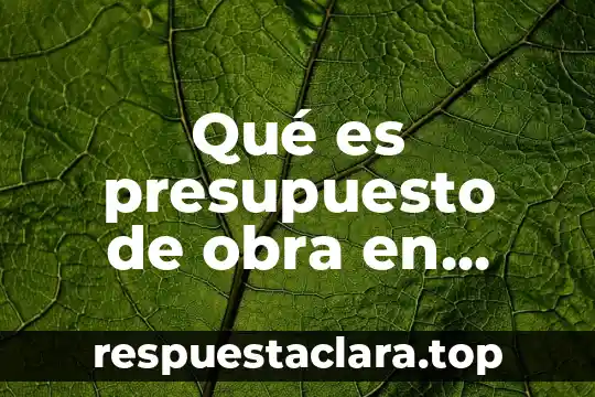 Que es ser joto en mexico 3 Qué es presupuesto de obra en México