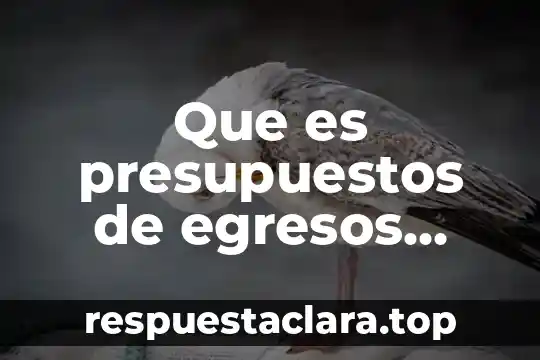 Que es presupuestos de egresos publicos