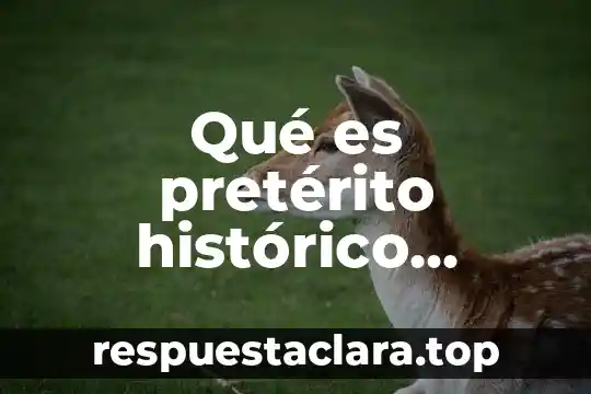 Qué es pretérito histórico concepto