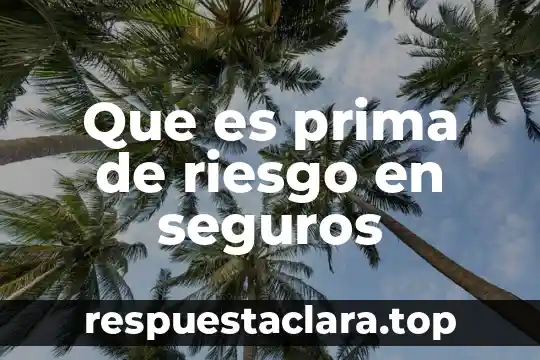 Que es prima de riesgo en seguros