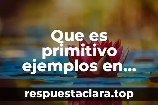 Que es primitivo ejemplos en geometria