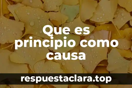Que es principio como causa