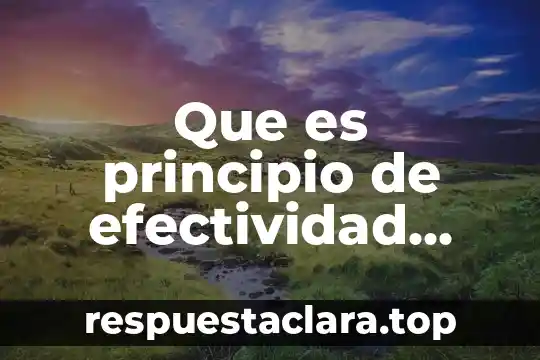 Por que es importante el principio de le chatelier 8 Que es principio de efectividad fisica