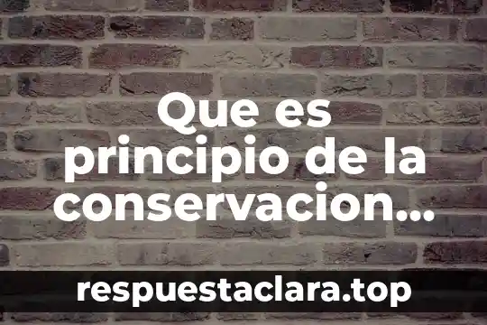 Por que es importante el principio de le chatelier 4 Que es principio de la conservacion de la carga