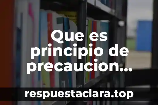 Que es principio de precaucion ejemplos