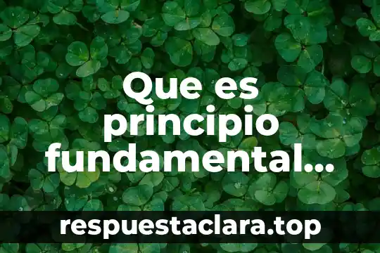 Por que es importante el principio de le chatelier 6 Que es principio fundamental en enfermeria
