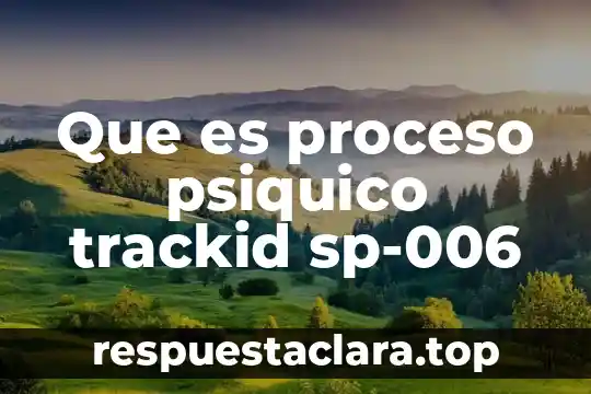 Que es proceso psiquico trackid sp-006