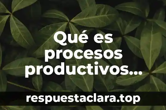 Qué es procesos productivos regionales