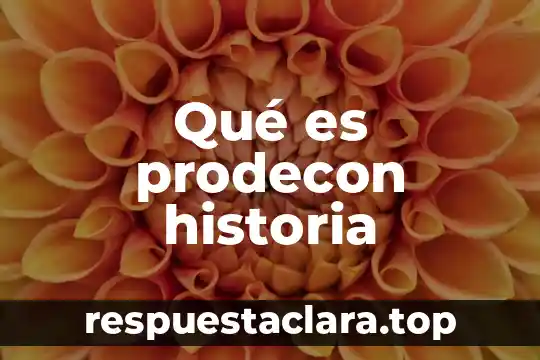 Que es la cronologia de la historia de la salvacion 5 Qué es prodecon historia