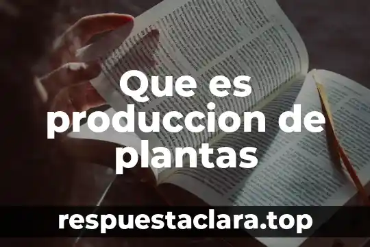 Que es produccion de plantas