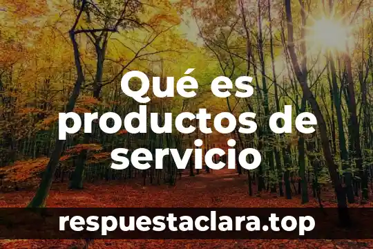 Qué es productos de servicio