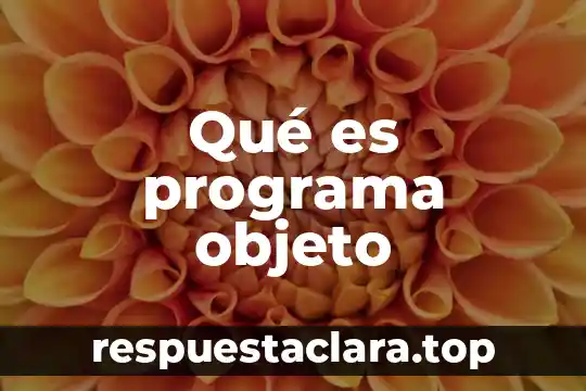 Qué es programa objeto