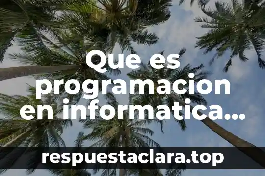 Que es programacion en informatica scielo