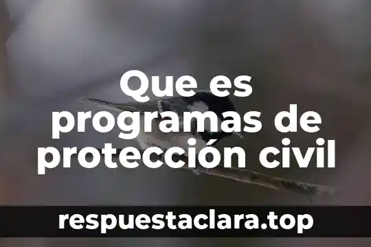Que es programas de protección civil