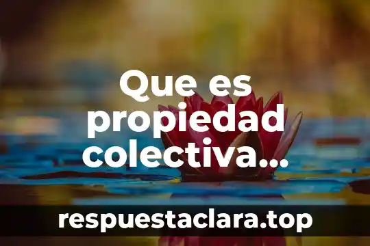 Que es una sociedad colectiva y una sociedad anonima 4 Que es propiedad colectiva yahoo
