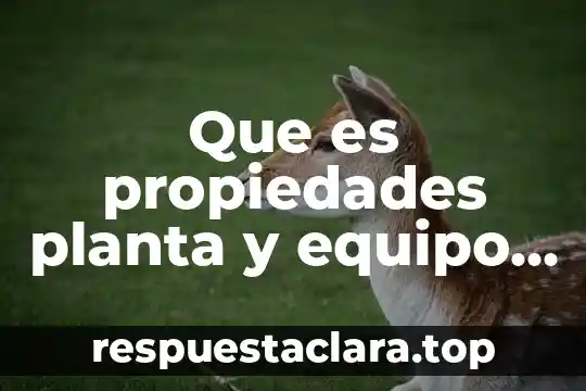 Que es propiedades planta y equipo neto en un balance