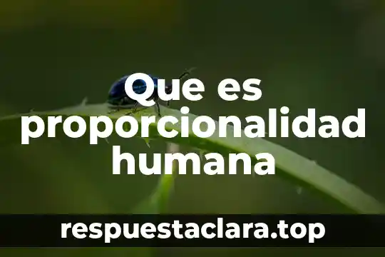 Que es proporcionalidad humana
