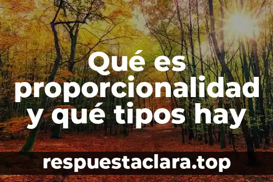 Qué es proporcionalidad y qué tipos hay