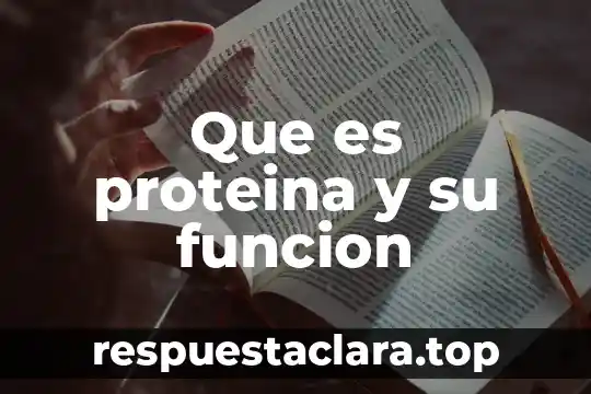 Que es la funcion de la lengua y sus variantes 5 Que es proteina y su funcion