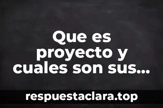 Que es proyecto y cuales son sus partes