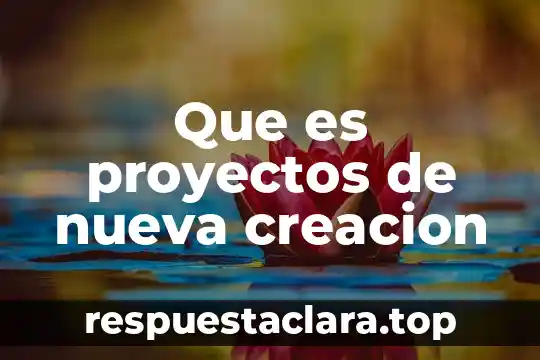 Que es la norma constitucional y proceso de creación 6 Que es proyectos de nueva creacion