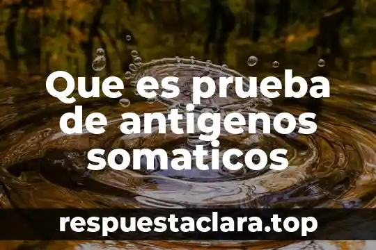 Prueba de la bilirrubina y por qué es sensible 7 Que es prueba de antigenos somaticos